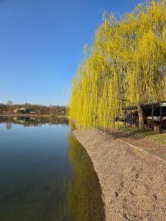 Laguna Club Lake Resort - 6