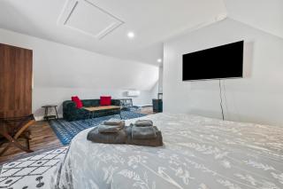 Modern Pet Friendly Apt Hiking Touring Studio - 5