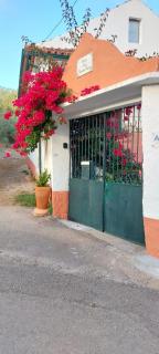 Casa da Figueira Branca - 5