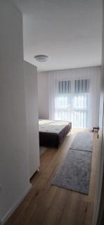 Luxury Apartment - 5