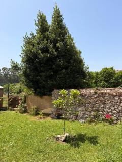 El Jardín de Mer - 2