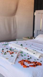 Diala Luxury Wadi Rum Bubble & Desert Experience - 6