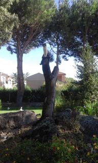 La Casita del Guarda - 3