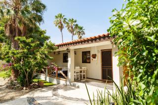 Casalina Garden 2 blocks to Palm Beach & Kitesurfing school - Palm-Eagle Beach - 7