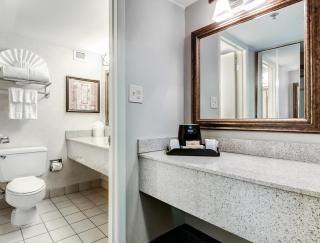 Ramada Plaza by Wyndham Atlanta Airport - Atlanta - 5
