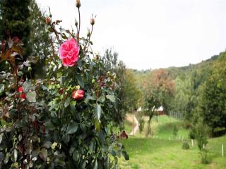 Nature Escape with Pool & Garden Views - 0