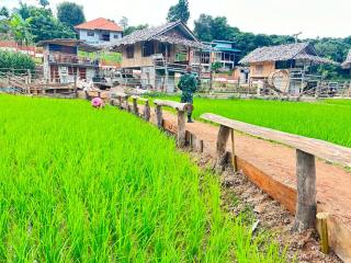 La Chipu homestay - 1