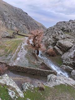 Akram Guest House - 5
