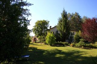 L'Ariete - Montone - 9
