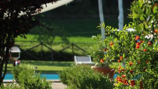 L'Ariete - Montone - 5