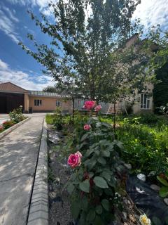 Aida - 0