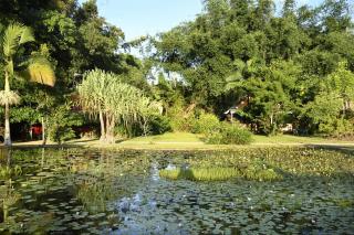 Lillypads Yellow Cottage - 7