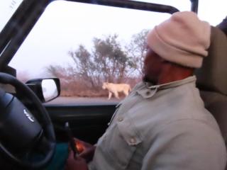 Sunset Lodge & Safaris - 6