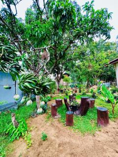 Trio Mango Stay - Arugam Bay - 1