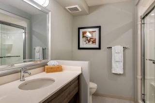Amsterdam Inn & Suites, an Ascend Collection Hotel - 2