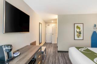 Amsterdam Inn & Suites, an Ascend Collection Hotel - 1