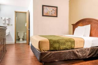 Econo Lodge Holland - Toledo - 7