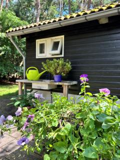 Kleine huisje op de Veluwe - 6