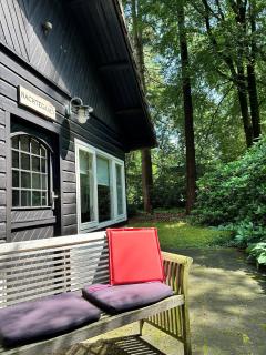 Kleine huisje op de Veluwe - 1