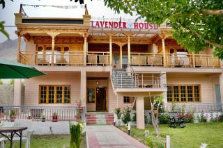Lavender House - 0