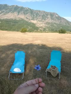 Zeko Farm Guest House - 3