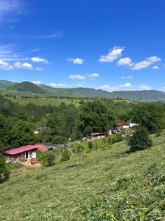 Casa Verde - 9