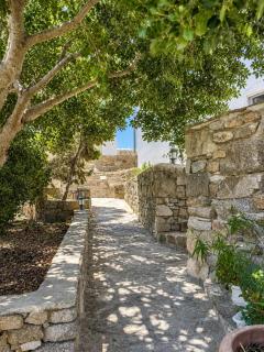Oxalis Mykonos Apartments - 3