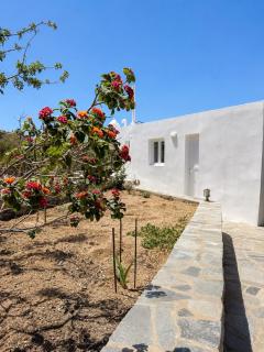 Oxalis Mykonos Apartments - 5
