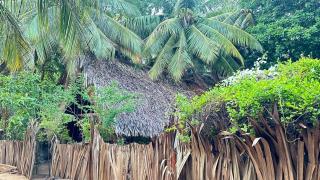 Nature Bay House - 4