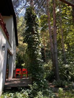 Dom Otwartych Drzwi - 5