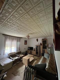 Ordinacija pod šljivom - 1
