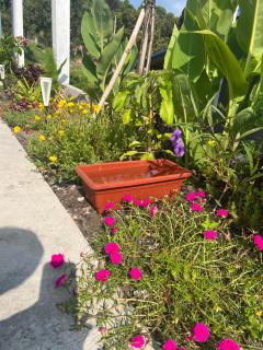 IngIng Guesthouse II - 4