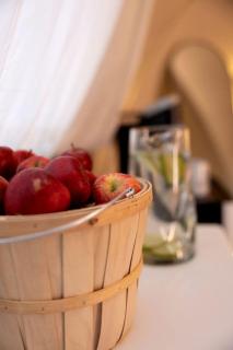 Scenic Glamping Tent with Orchard & Farm Animals near Mountainair in Torreon, New Mexico - 2