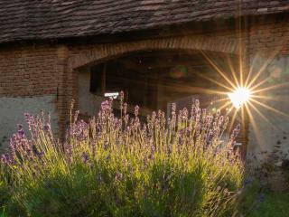 Curte la Munte - charming village house - 6