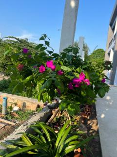 IngIng Guesthouse II - 6