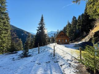 Belegu Alpine Vila - 8