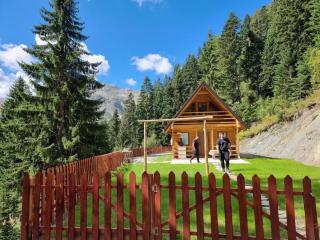 Belegu Alpine Vila - 7