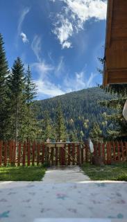 Belegu Alpine Vila - 4