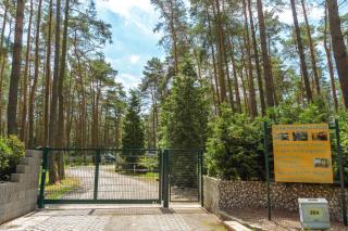 Urlaub im Wohnwagen - mitten im Wald - 2