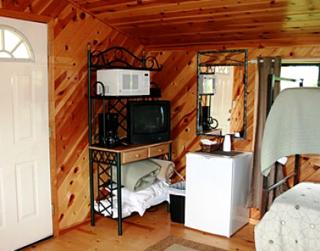 Family-Friendly Dry Cabin with Resort Amenities Near Black Hills in Sturgis, South Dakota - 0