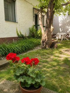 Tomaji Szederfás Apartman - ingyenes parkolás! - 3