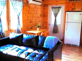Cozy Cabin Rental with a Four-Person Hot Tub near Hocking Hills State Park, Ohio - 8
