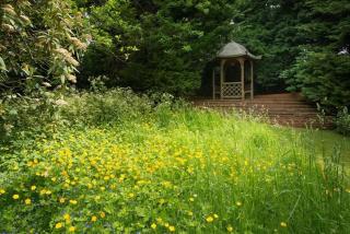 Westview, Beautiful Country House near Cambridge - 8