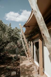 Serene Glampsite with Tub & Private Deck Escape in Johnson City, Texas - 4