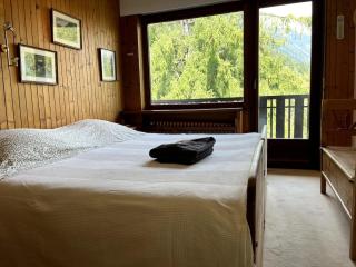 Chamonix Apartment - 1