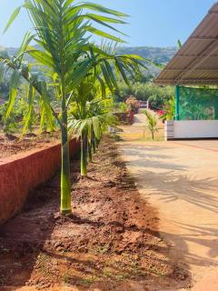 Vaidic Yoga Retreat - 5
