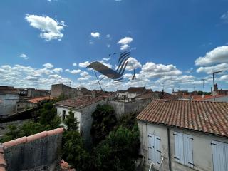 La Salamandre - Situé en plein coeur de ville et proche des thermes - 3
