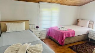 Sapanca Eren Villa-Isıtma Havuzlu - 9