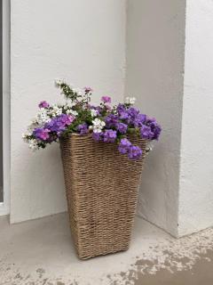 Peaceful Apartment - 10 min from Downtown Reykjavík - 1