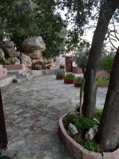 Elis superb house - 8